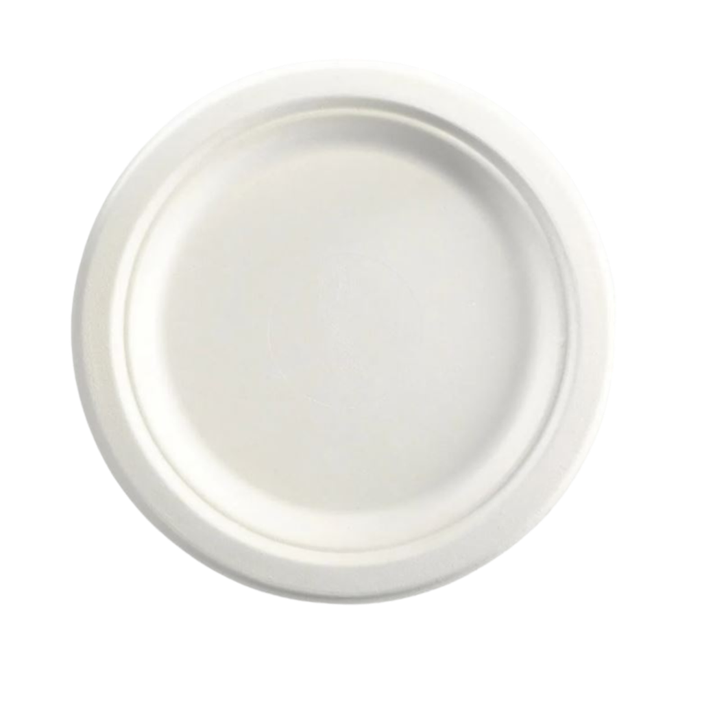 Sugarcane Disposable Plates 9&quot; White (Pack of 50)