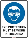 Safety Sign 600 x 450mm - Eye Protection must be worn in this area