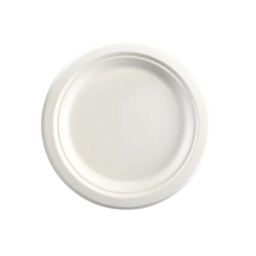 [PLATEDISP] Sugarcane Disposable Plates 9&quot; White (Pack of 50)